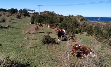 Venta ISLA CHAULLIN, Chiloé