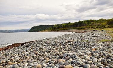 Venta ISLA CHAULLIN, Chiloé