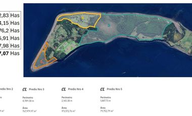 Venta ISLA CHAULLIN, Chiloé