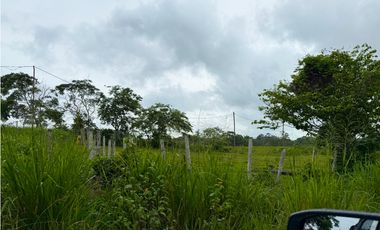 Venta de Finca en la Mendoza La Chorrera