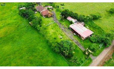 Venta de Finca en la Mendoza La Chorrera