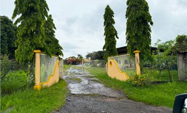 Venta de Finca en la Mendoza La Chorrera