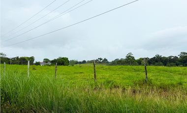 Venta de Finca en la Mendoza La Chorrera