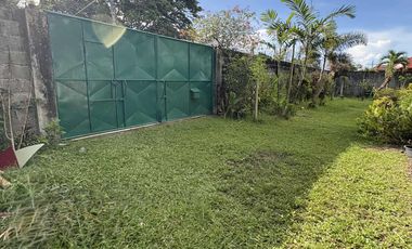 Rush Sales 800 sqm 6car garage Spacious House & Lot Tangub Bacolod city