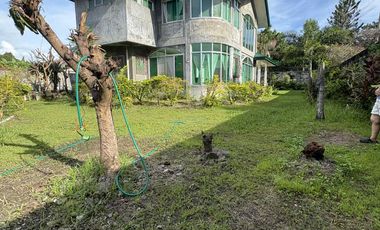 Rush Sales 800 sqm 6car garage Spacious House & Lot Tangub Bacolod city