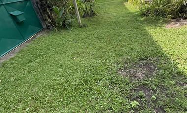 Rush Sales 800 sqm 6car garage Spacious House & Lot Tangub Bacolod city