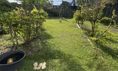 Rush Sales 800 sqm 6car garage Spacious House & Lot Tangub Bacolod city