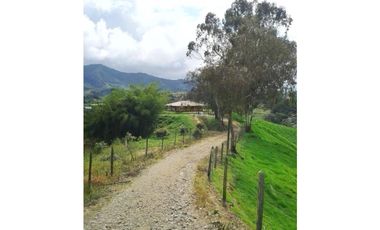 VENDO FINCA MARINILLA ANTIOQUIA 8HA SEMBRADOS DE AGUACATE