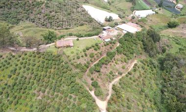 VENDO FINCA MARINILLA ANTIOQUIA 8HA SEMBRADOS DE AGUACATE
