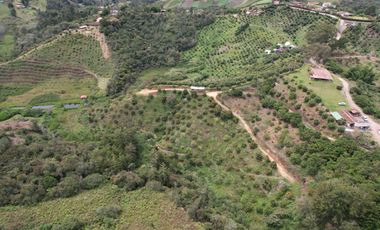 VENDO FINCA MARINILLA ANTIOQUIA 8HA SEMBRADOS DE AGUACATE