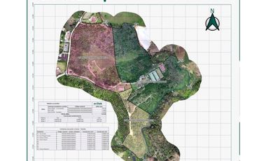 VENDO FINCA MARINILLA ANTIOQUIA 8HA SEMBRADOS DE AGUACATE