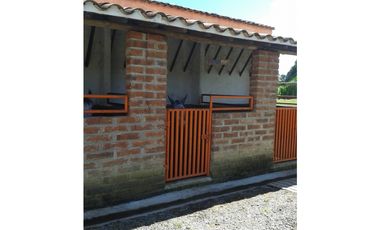 VENDO FINCA MARINILLA ANTIOQUIA 8HA SEMBRADOS DE AGUACATE