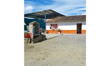 VENDO FINCA MARINILLA ANTIOQUIA 8HA SEMBRADOS DE AGUACATE