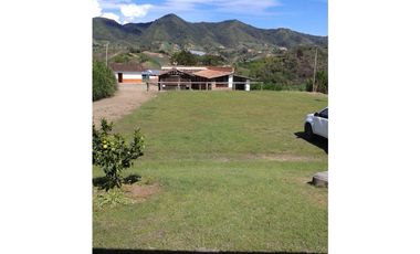 VENDO FINCA MARINILLA ANTIOQUIA 8HA SEMBRADOS DE AGUACATE