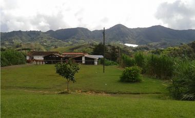 VENDO FINCA MARINILLA ANTIOQUIA 8HA SEMBRADOS DE AGUACATE