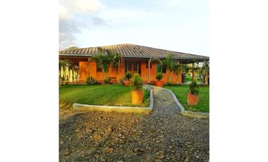 VENDO FINCA MARINILLA ANTIOQUIA 8HA SEMBRADOS DE AGUACATE