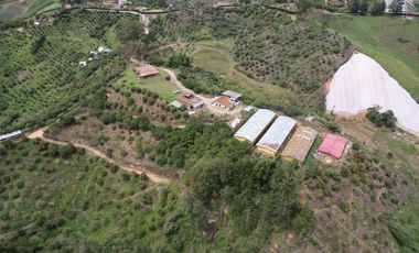 VENDO FINCA MARINILLA ANTIOQUIA 8HA SEMBRADOS DE AGUACATE