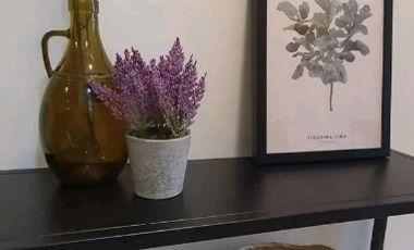 Furnished Studio Condo Unit For Sale at Camella Northpoint Davao City