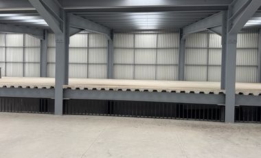 Bodega en Renta en San Mateo Atenco