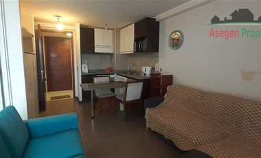 Departamento en Arriendo en Departamento amoblado en arriendo en Edificio Parque Alameda