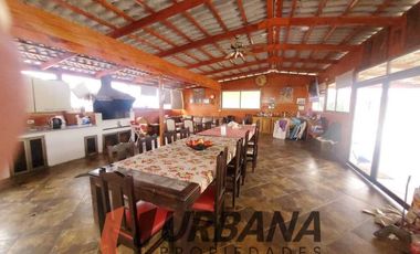 EXCLUSIVA PARCELA EN ESTANCIA EL TANGUE, TONGOY