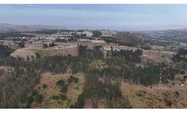 Terrenos Industriales