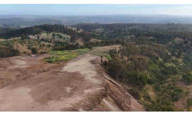 Terrenos Industriales