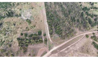 Terrenos Industriales