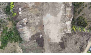 Terrenos Industriales