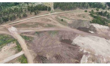 Terrenos Industriales