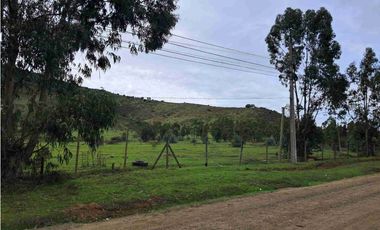 Terrenos Industriales