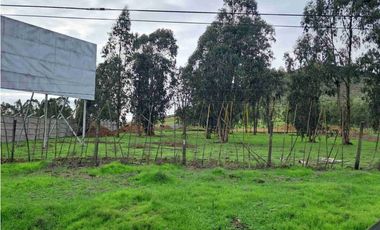 Terrenos Industriales