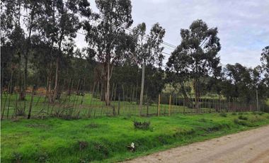 Terrenos Industriales