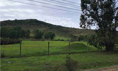 Terrenos Industriales