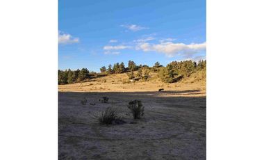 parcelas con rol propio