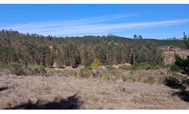 parcelas con rol propio