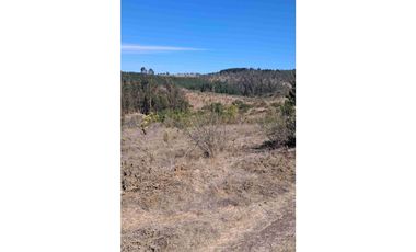 parcelas con rol propio