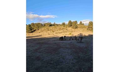 parcelas con rol propio