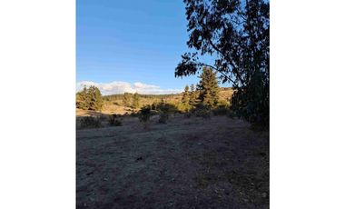 parcelas con rol propio