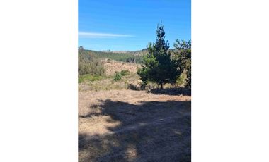 parcelas con rol propio