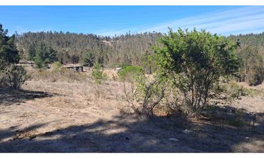 parcelas con rol propio