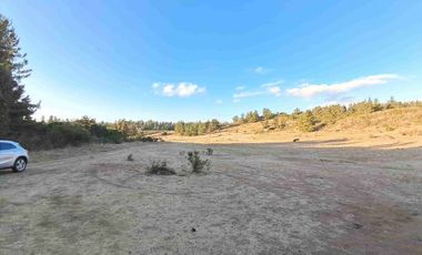 parcelas con rol propio