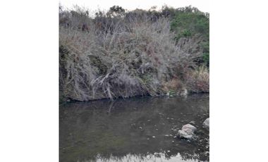 parcelas con rol propio