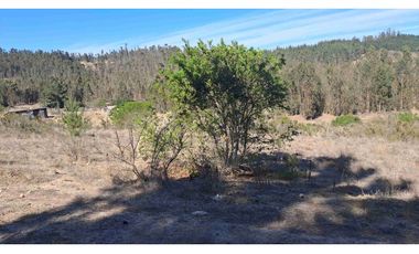 parcelas con rol propio