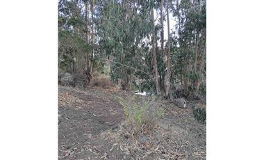 parcelas con rol propio