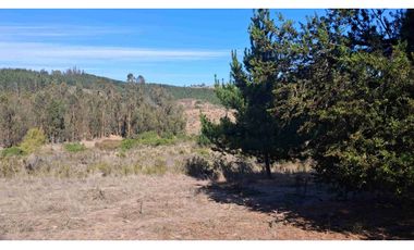 parcelas con rol propio