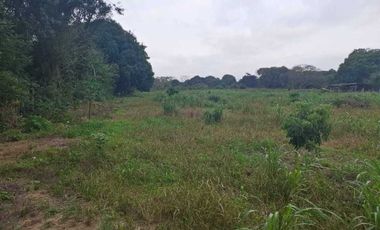 TERRENO EN VENTA CONGREGACION JUANA MOZA TUXPAN VERACRUZ