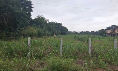 TERRENO EN VENTA CONGREGACION JUANA MOZA TUXPAN VERACRUZ