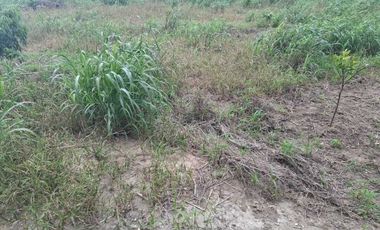 TERRENO EN VENTA CONGREGACION JUANA MOZA TUXPAN VERACRUZ