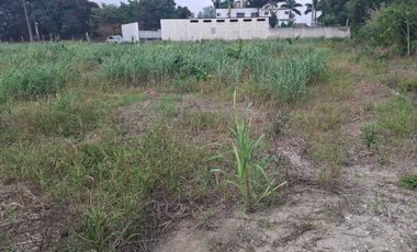 TERRENO EN VENTA CONGREGACION JUANA MOZA TUXPAN VERACRUZ